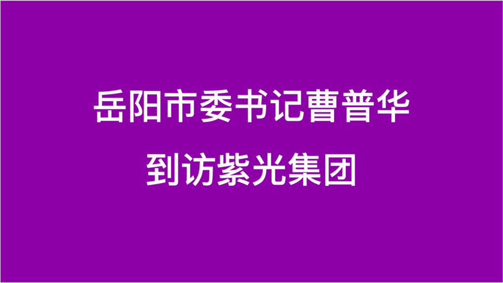 岳阳市委书记曹普华到访和记官网集团