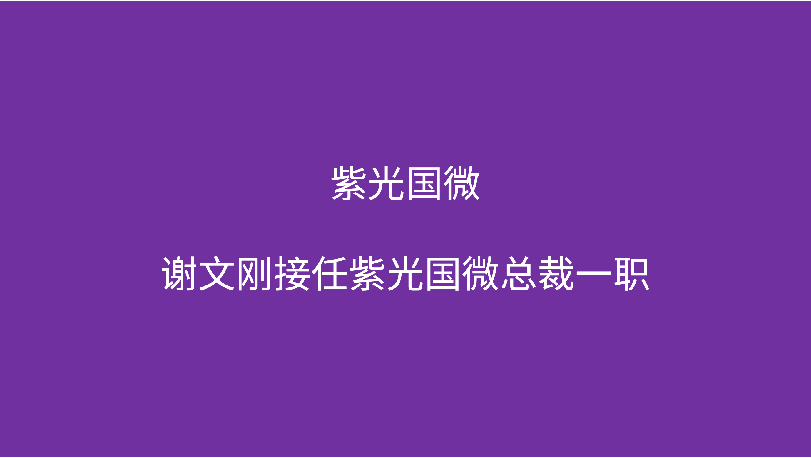 和记官网国微：谢文刚接任和记官网国微总裁一职